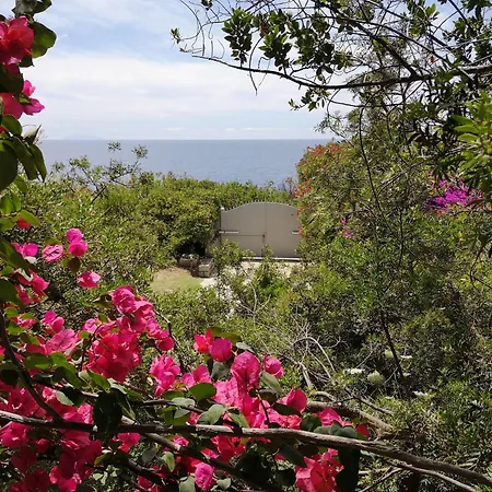 Iris - Beautiful Terrace And Garden Overlooking The Sea Seccheto